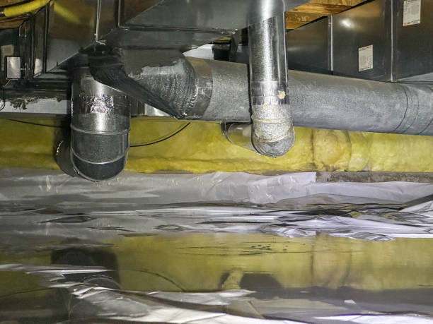 Best Carpet and Upholstery Water Damage Restoration in USA